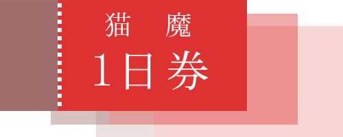 猫魔1日券付プラン
