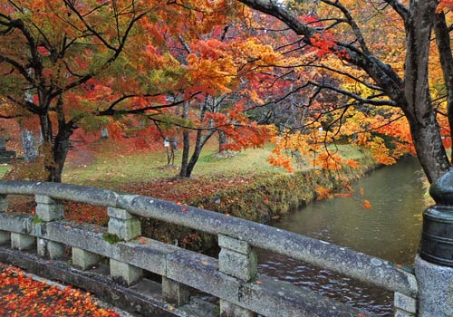 土津神社の紅葉