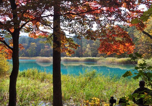 るり沼（五色沼）の紅葉