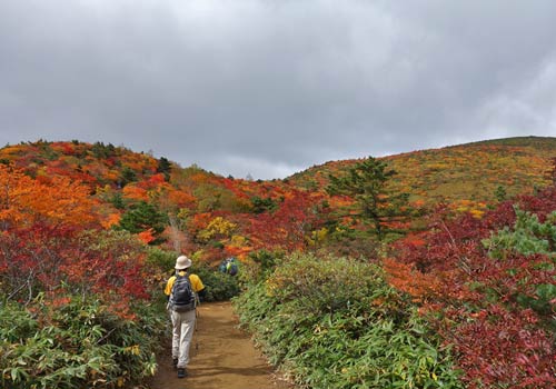 安達太良の紅葉