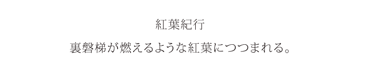 紅葉紀行、裏磐梯が燃えるような紅葉につつまれる。