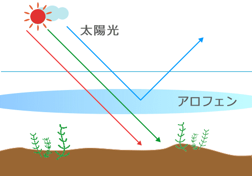 神秘の色の不思議