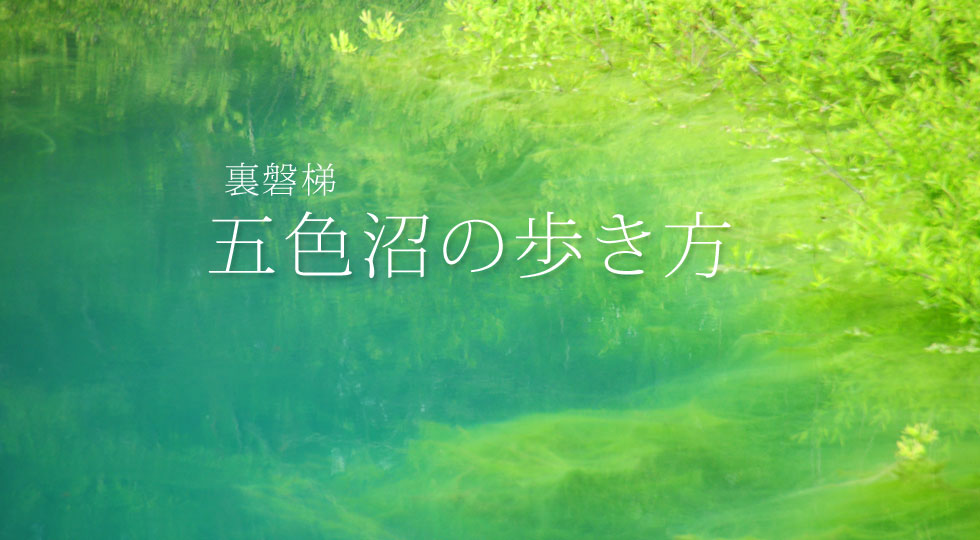 裏磐梯五色沼の歩き方