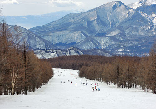 グランデコスキー場