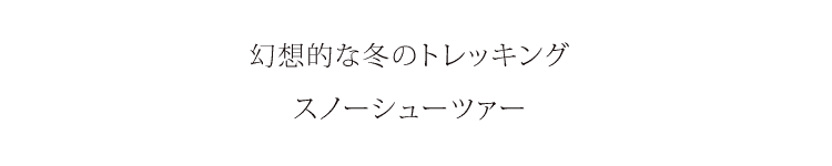 幻想的な冬のトレッキング、スノーシューツァー