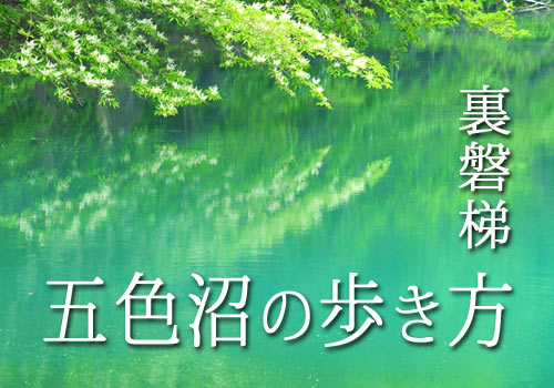 2025 裏磐梯五色沼の歩き方